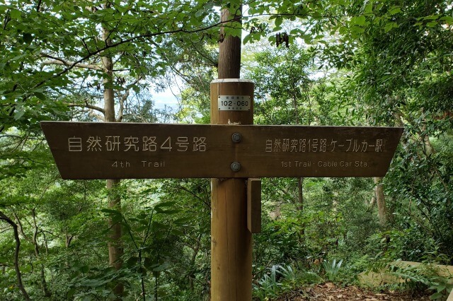 高尾山登山ルート｜４号路（吊り橋コース）