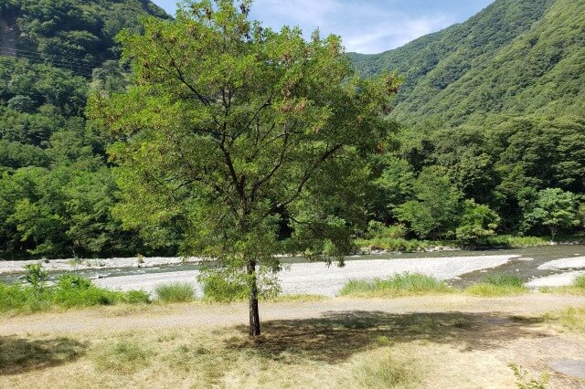 リゾナーレ八ヶ岳のアクティビティ｜川遊び｜水の学校（午前）