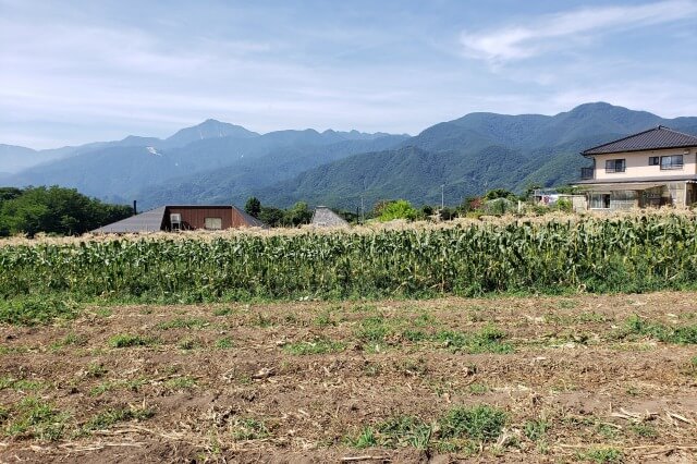 リゾナーレ八ヶ岳のアクティビティ｜夏のおひさまキッチン～高原で野菜収穫体験～