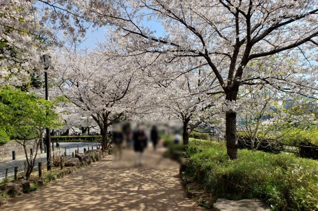 千鳥ヶ淵の桜を見るルート｜②千鳥ヶ淵緑道入口