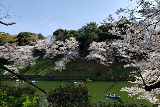 千鳥ヶ淵の桜を見るルート｜⑤ボート乗り場