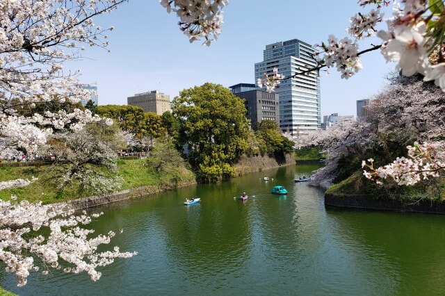 千鳥ヶ淵の桜を見るルート｜⑥九段坂公園