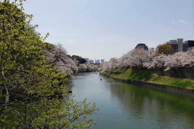千鳥ヶ淵の桜を見るルート｜⑦九段坂公園