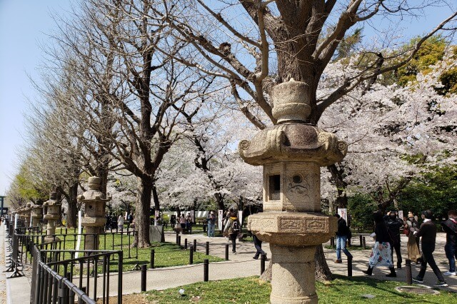 千鳥ヶ淵の桜を見るルート｜⑪靖国神社