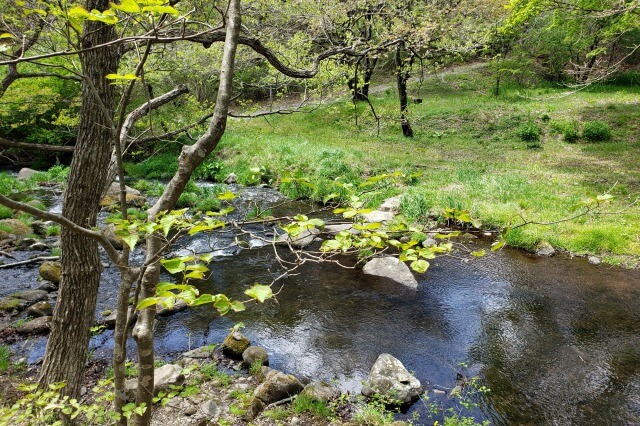 星野リゾート・リゾナーレ那須で森には川が流れています