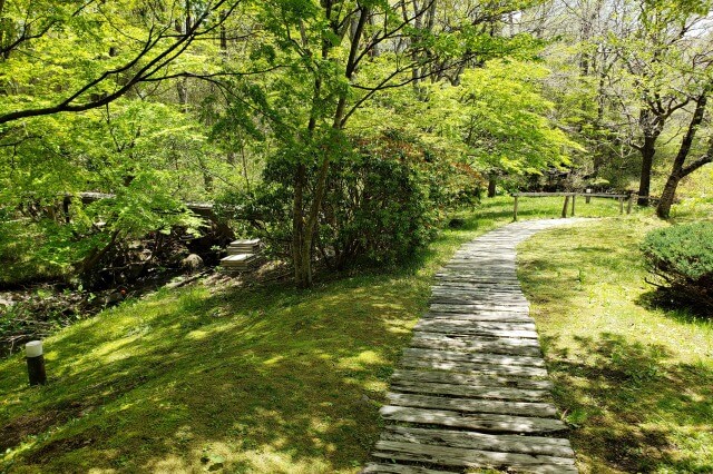 星野リゾート・リゾナーレ那須の森｜森から別館の入口へ