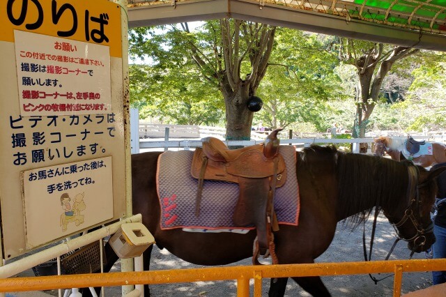 こどもの国（横浜）のポニー牧場｜乗馬体験ができます