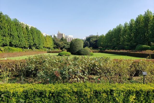 新宿御苑の整形式庭園｜左右対称で幾何学的模様を特徴とした庭園