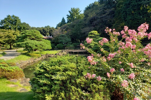 新宿御苑の日本庭園｜池の周囲を回遊しながら観賞する池泉回遊式庭園