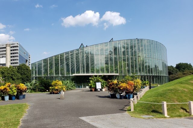 新宿御苑の大温室（植物園）｜樹木・花・サボテンなどの植物を展示