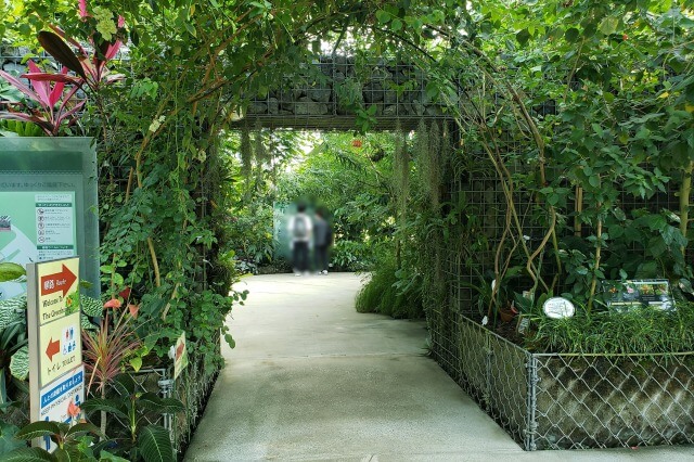 新宿御苑の大温室（植物園）の入り口