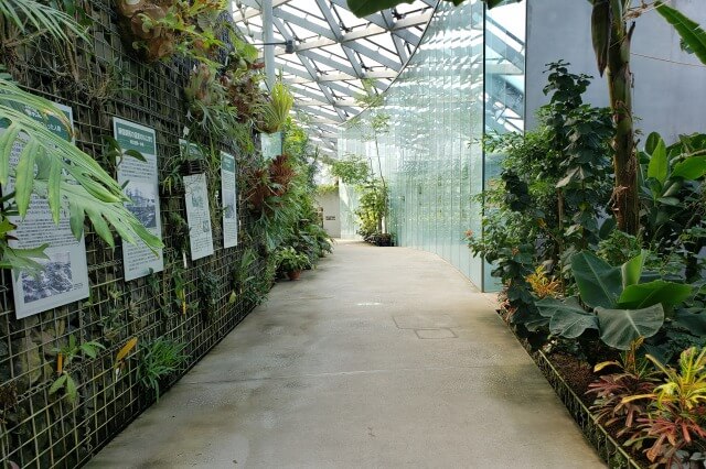 新宿御苑の大温室（植物園）の出口