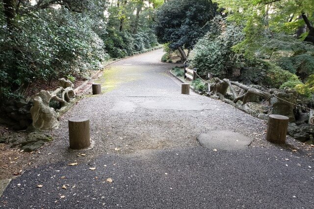 新宿御苑の擬木橋｜日本初の木を模した橋