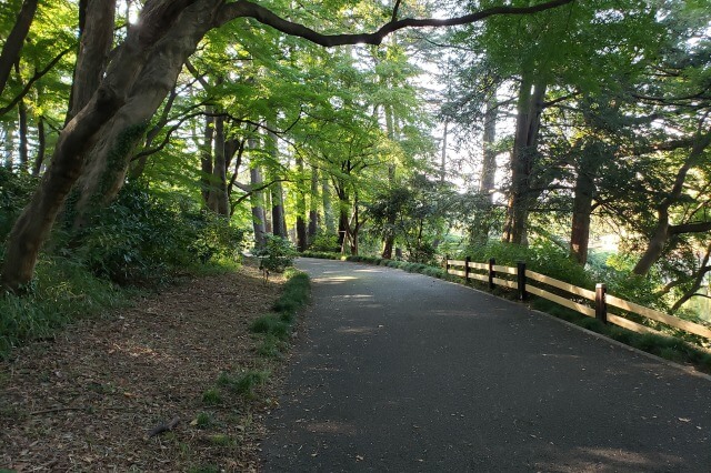 新宿御苑は散歩に最適｜広さ約58ha・周囲3.5kmの公園の楽しみ方