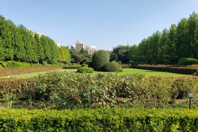 新宿御苑の散歩道｜ヴェルサイユ宮殿を思わせる整形式庭園