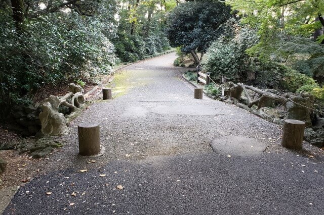新宿御苑の散歩道｜思ったよりも小さい擬木橋