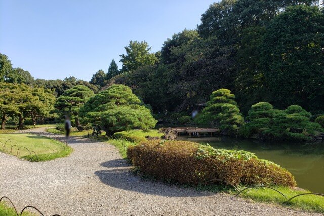 新宿御苑の散歩道｜松や庭石が美しい日本庭園