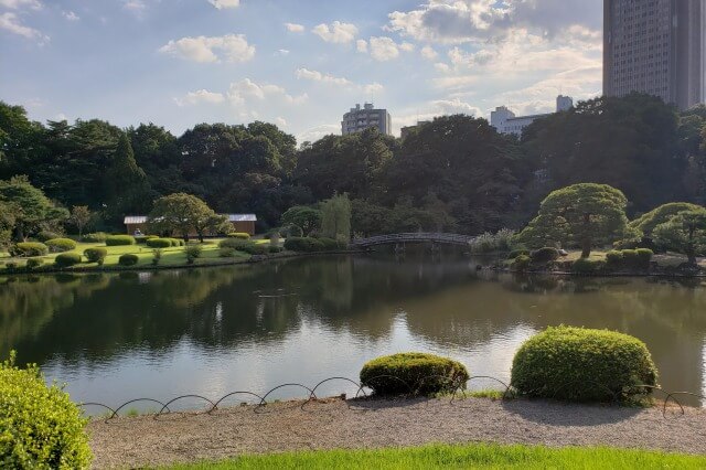 新宿御苑の散歩道｜緑に囲まれた上の池と新宿のビルのコントラスト