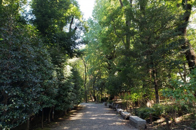 靖国神社の散歩道｜神池庭園・茶室・相撲場・梅林などを見ながら散歩