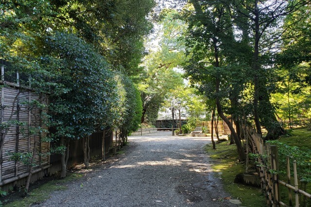 靖国神社の散歩道