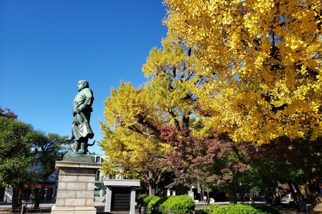 上野(恩賜)公園の紅葉スポット｜西郷隆盛像のイチョウ