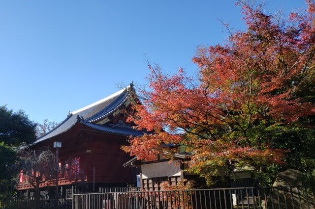 上野(恩賜)公園の紅葉スポット｜清水観音堂の紅葉
