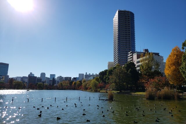 上野(恩賜)公園の紅葉スポット｜不忍池の紅葉