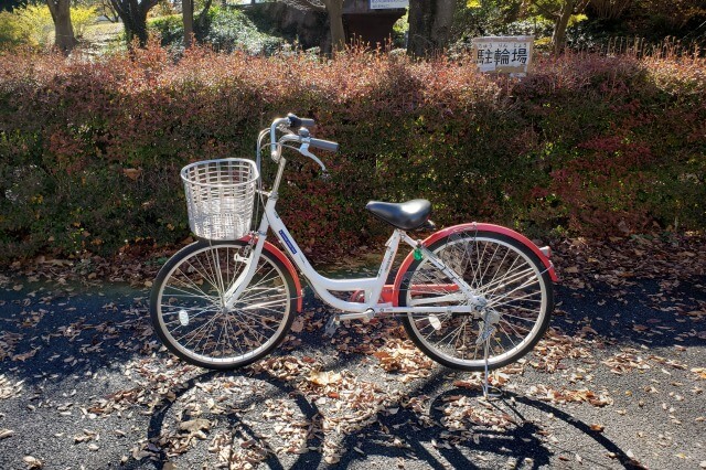 昭和記念公園のサイクリング｜自転車はレンタルもあり持ち込みもOK