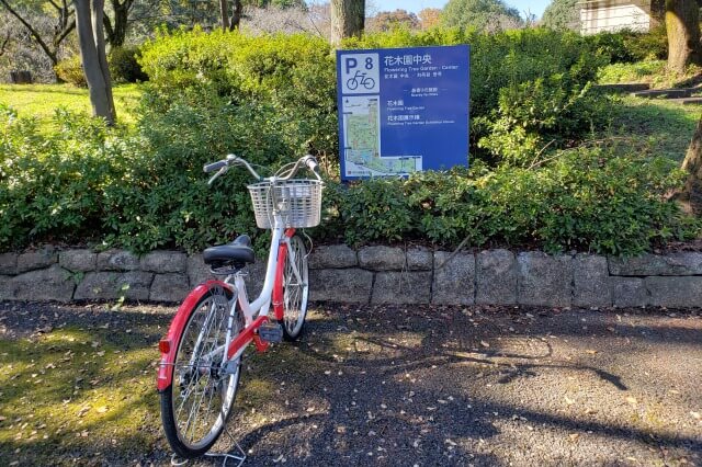 昭和記念公園のサイクリング
