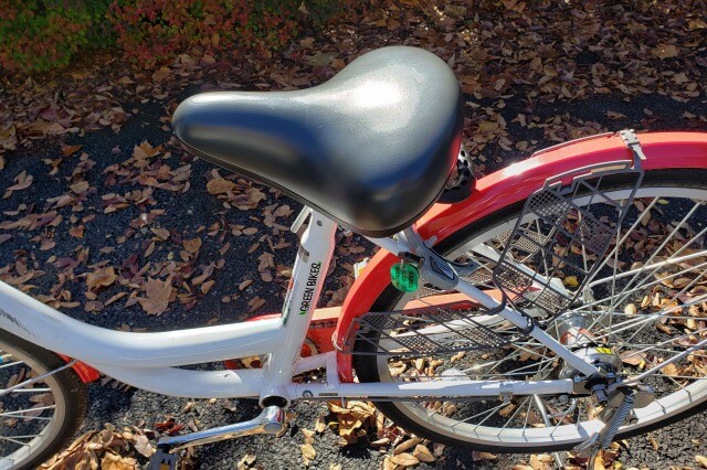 昭和記念公園でサイクリングをしてみた感想
