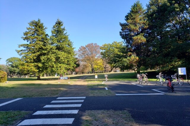 昭和記念公園でサイクリングをしてみた感想