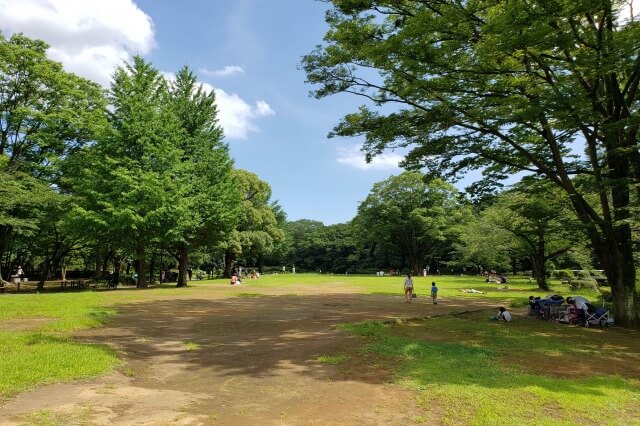 北の丸公園の見どころを紹介｜皇居近くの緑豊かで静かな公園です