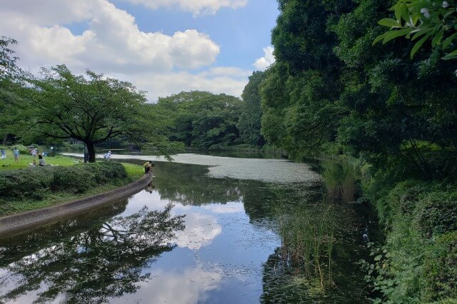 北の丸公園の池