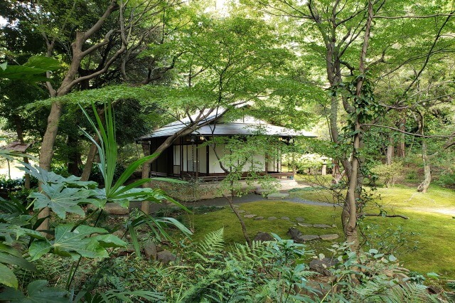 旧古河庭園の日本庭園の茶室｜春と秋には抹茶と茶菓子を頂けます