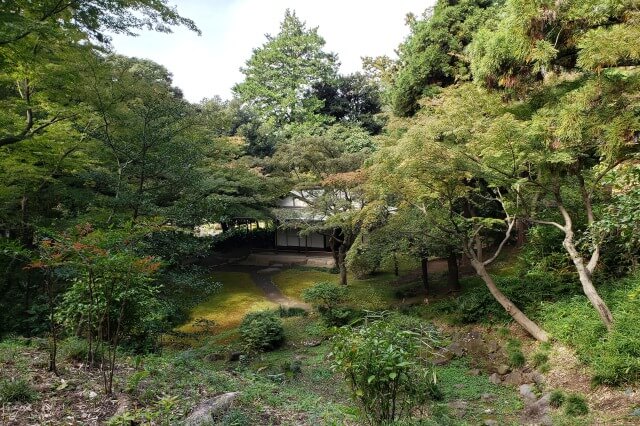 旧古河庭園の日本庭園の茶室｜春と秋には抹茶と茶菓子を頂けます