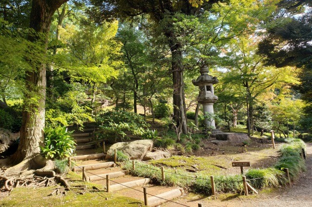 旧古河庭園の日本庭園の出口｜2つの階段から出口に向かいます