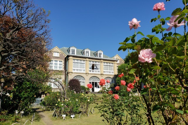 鳩山会館のバラ｜バラ園の見頃は春と秋、バラの種類も豊富です