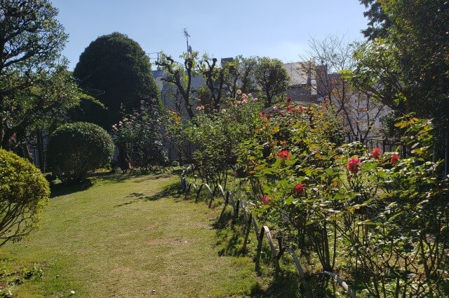 鳩山会館のバラ園｜庭園と離れに花壇があります