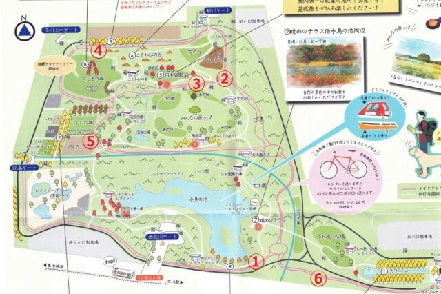 昭和記念公園の紅葉サイクリングマップ