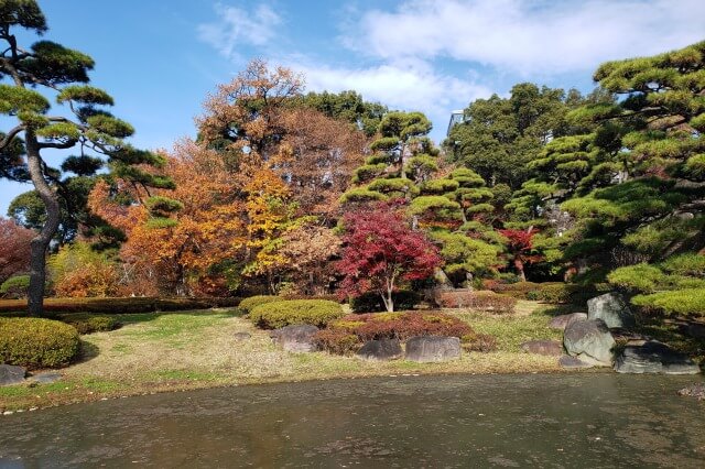 東京の紅葉が綺麗な庭園｜皇居東御苑の見頃と見所