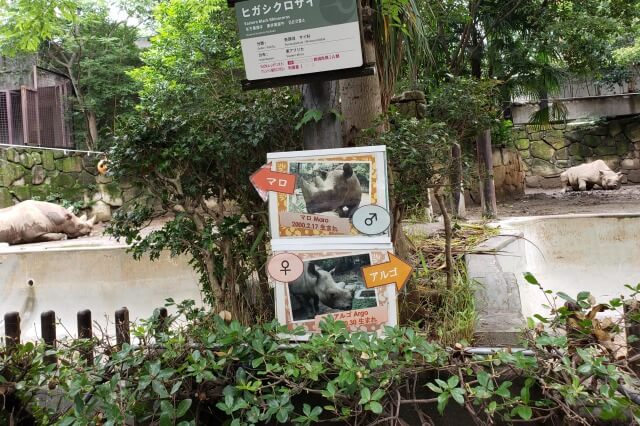 上野動物園のヒガシクロサイのいる場所は？名前は？