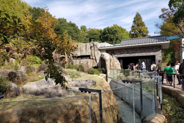 上野動物園のジャイアントパンダ｜パンダの森の様子