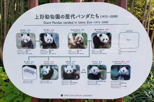 上野動物園の歴代パンダたち