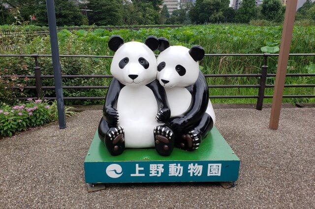 上野動物園の見どころ｜子連れでもデートでも。楽しみ方を紹介！