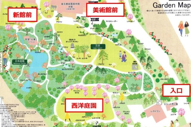 東京都庭園美術館の桜を見られる場所（園内マップ）