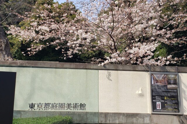 東京都庭園美術館の桜の見どころ｜入口