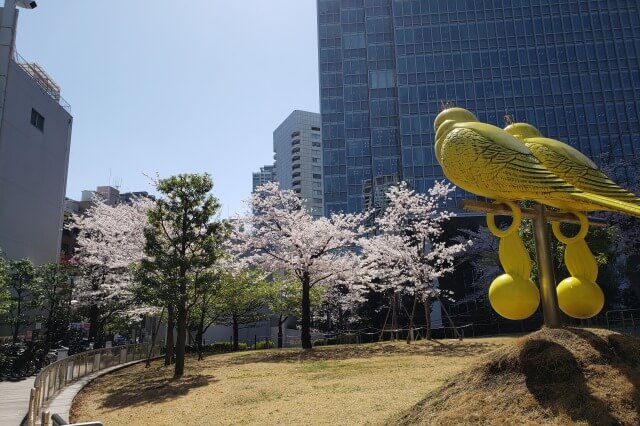 赤坂サカスの桜の見どころ｜さくら坂（赤坂Bizタワー周辺）