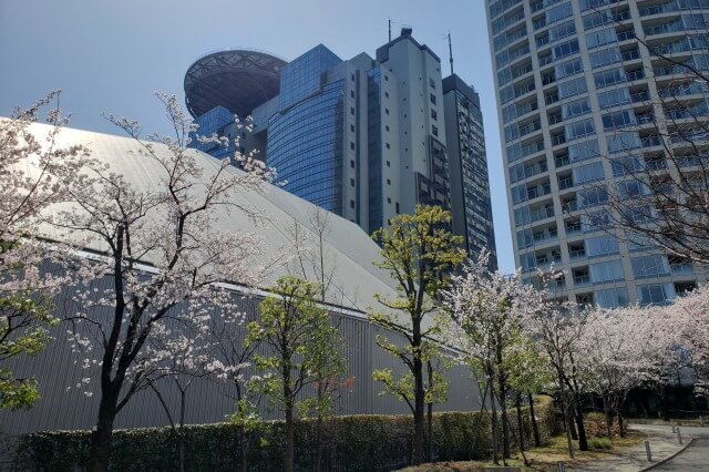 赤坂サカスの桜の見どころ｜さくら坂（TBS赤坂ACTシアター周辺）