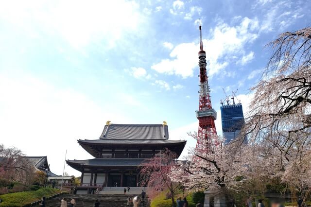 増上寺の桜の見どころ｜大殿