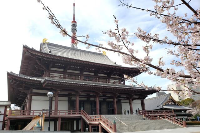 増上寺の桜の見どころ｜大殿